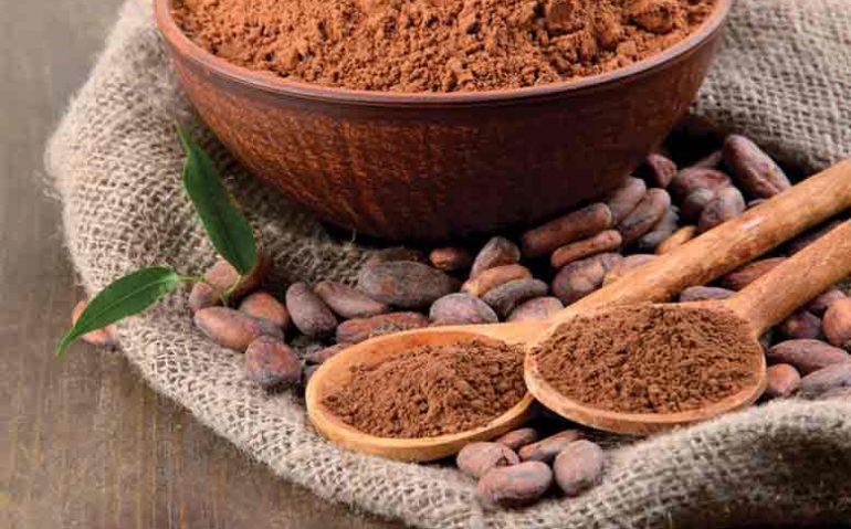 Cacao_Powder_circle